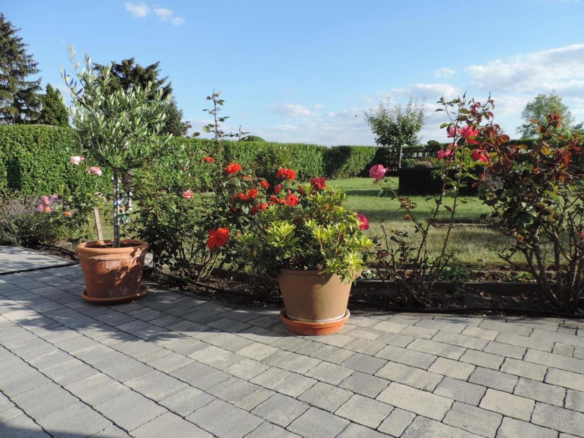 Die Ferienwohnung - Wittenberg An Den Elbwiesen ภายนอก รูปภาพ