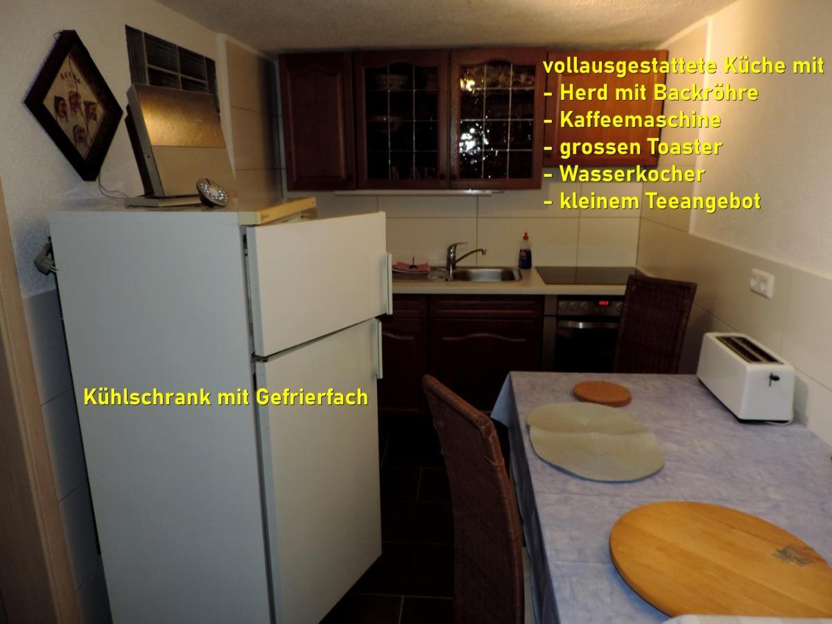 Die Ferienwohnung - Wittenberg An Den Elbwiesen ภายนอก รูปภาพ