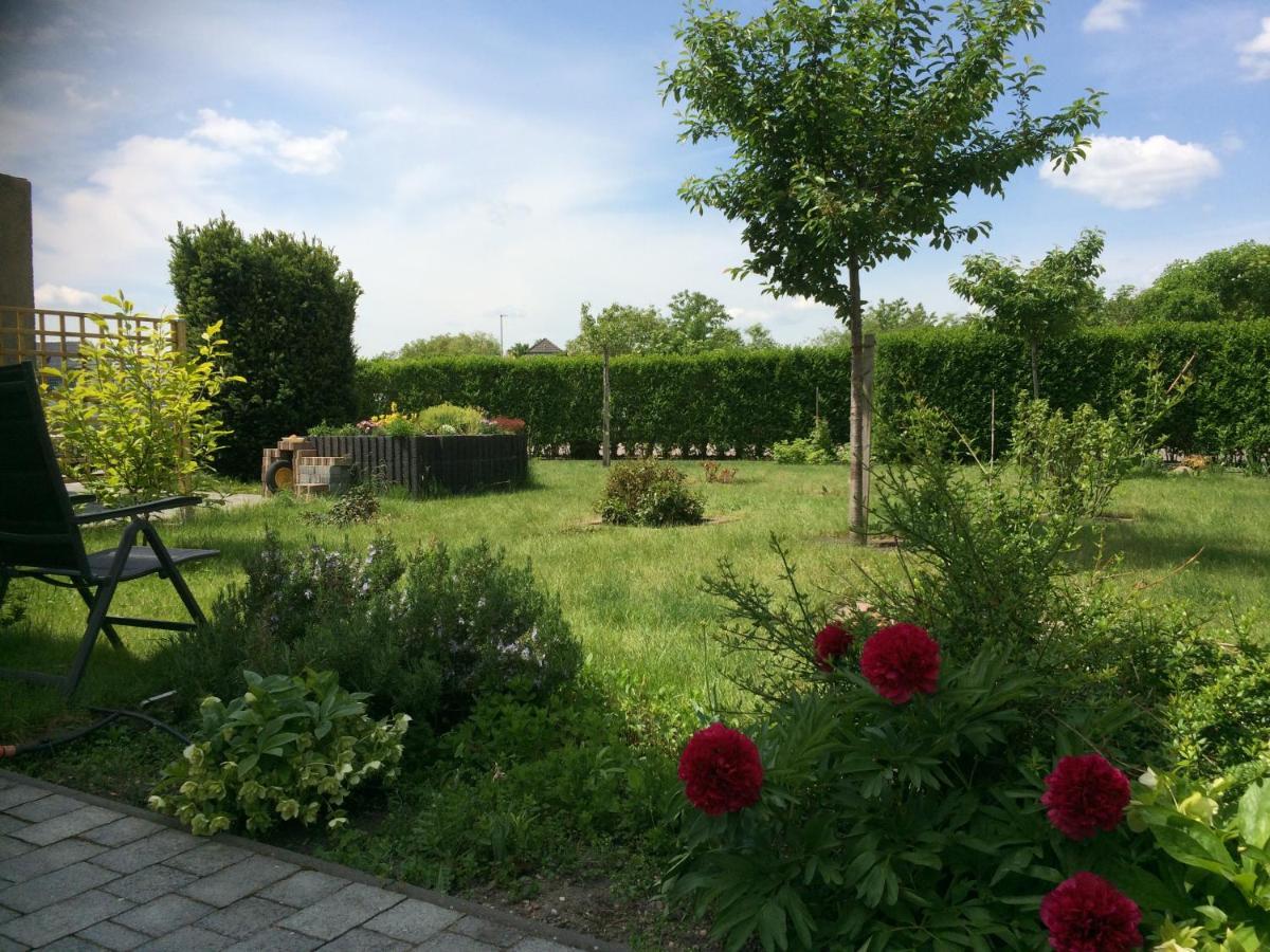 Die Ferienwohnung - Wittenberg An Den Elbwiesen ภายนอก รูปภาพ