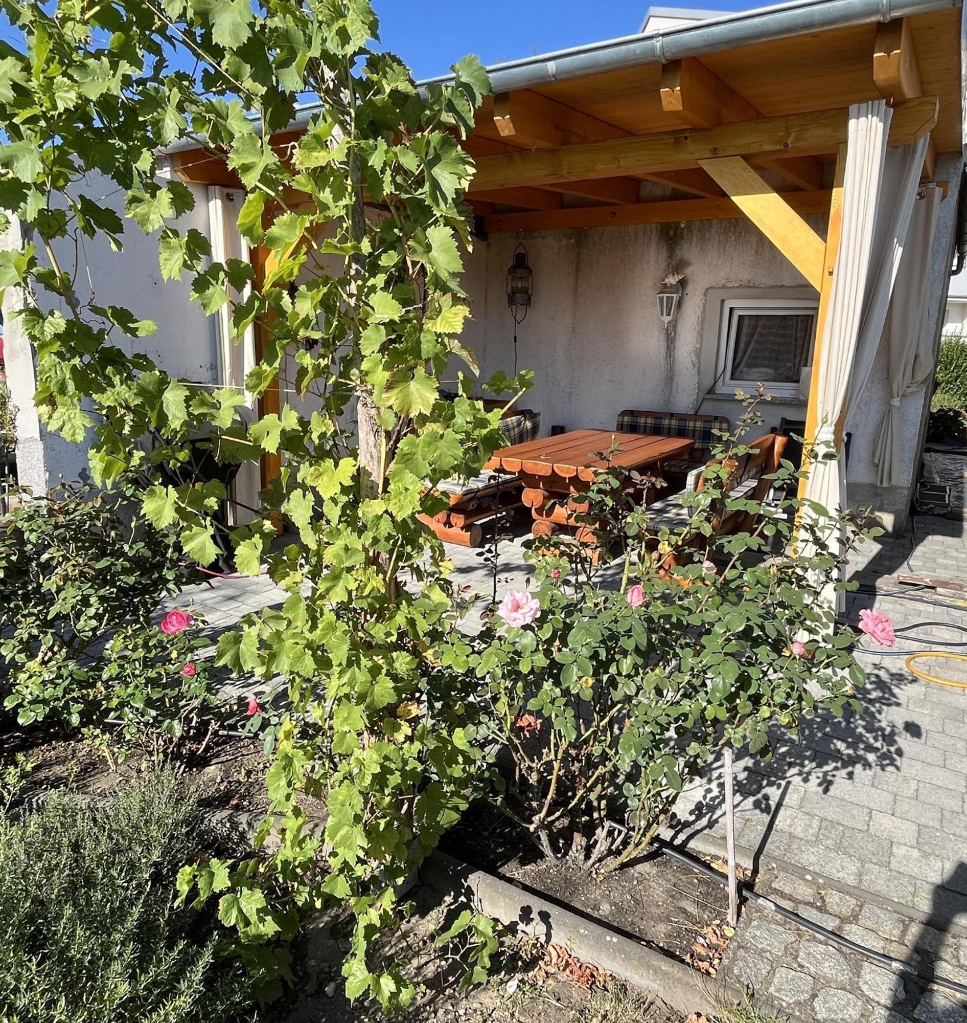 Die Ferienwohnung - Wittenberg An Den Elbwiesen ภายนอก รูปภาพ