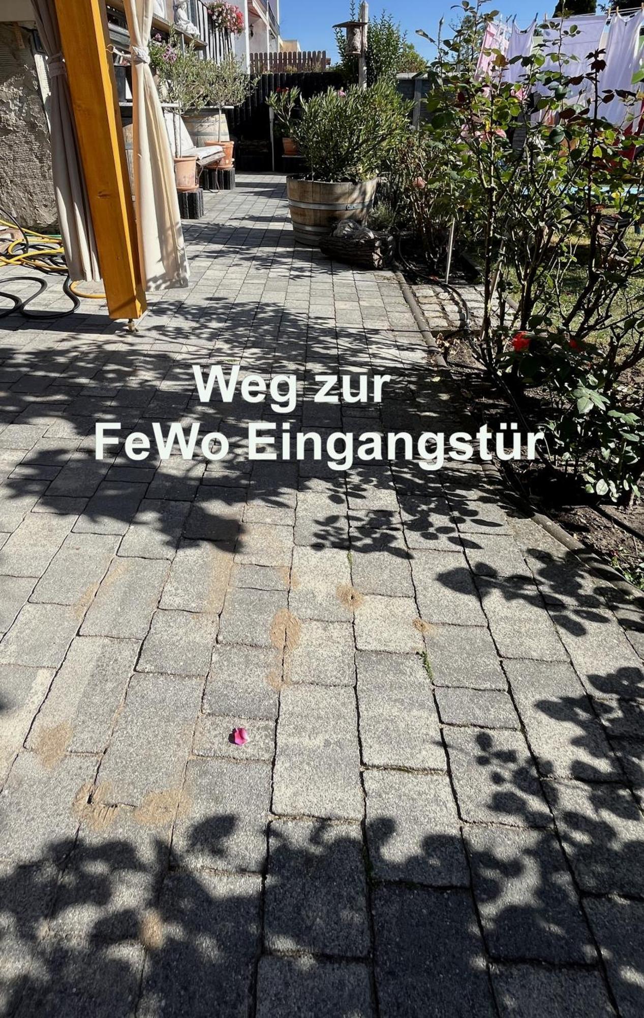 Die Ferienwohnung - Wittenberg An Den Elbwiesen ภายนอก รูปภาพ